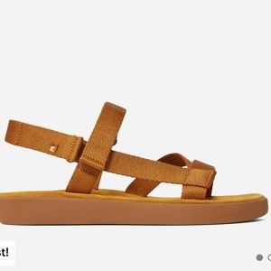Everlane ReNew Sport Sandal